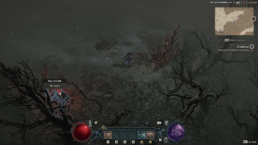 Как начать и пройти квест «Ледяное цветение» в Diablo 4?